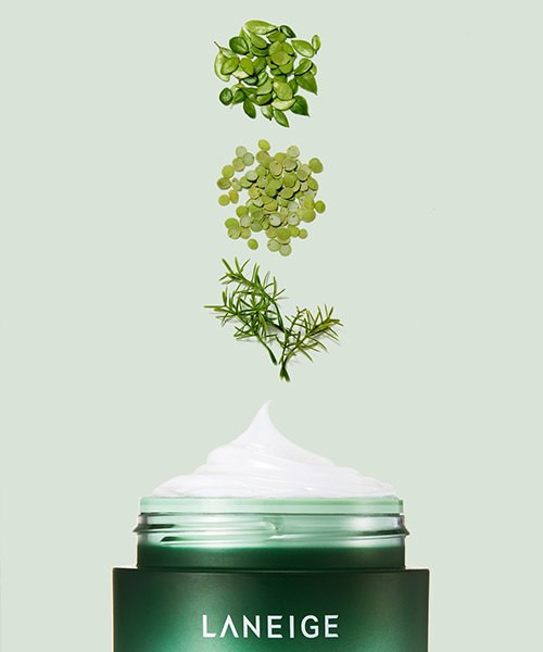 ماسک خواب سیکا Laneige