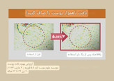 سرم ویتامین سی نیاسینامید Round lab