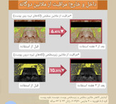 سرم ویتامین سی نیاسینامید Round lab
