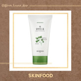فوم آرتمیسیا skinfood