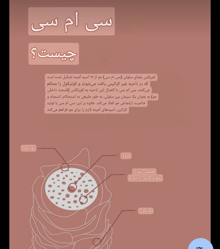 شامپو ترمیم کننده masil