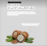 کرم دست ricocell