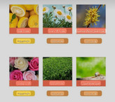 ضدآفتاب تن آپ کلاژن Beaute