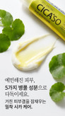 کرم سیکا و سراماید coreana