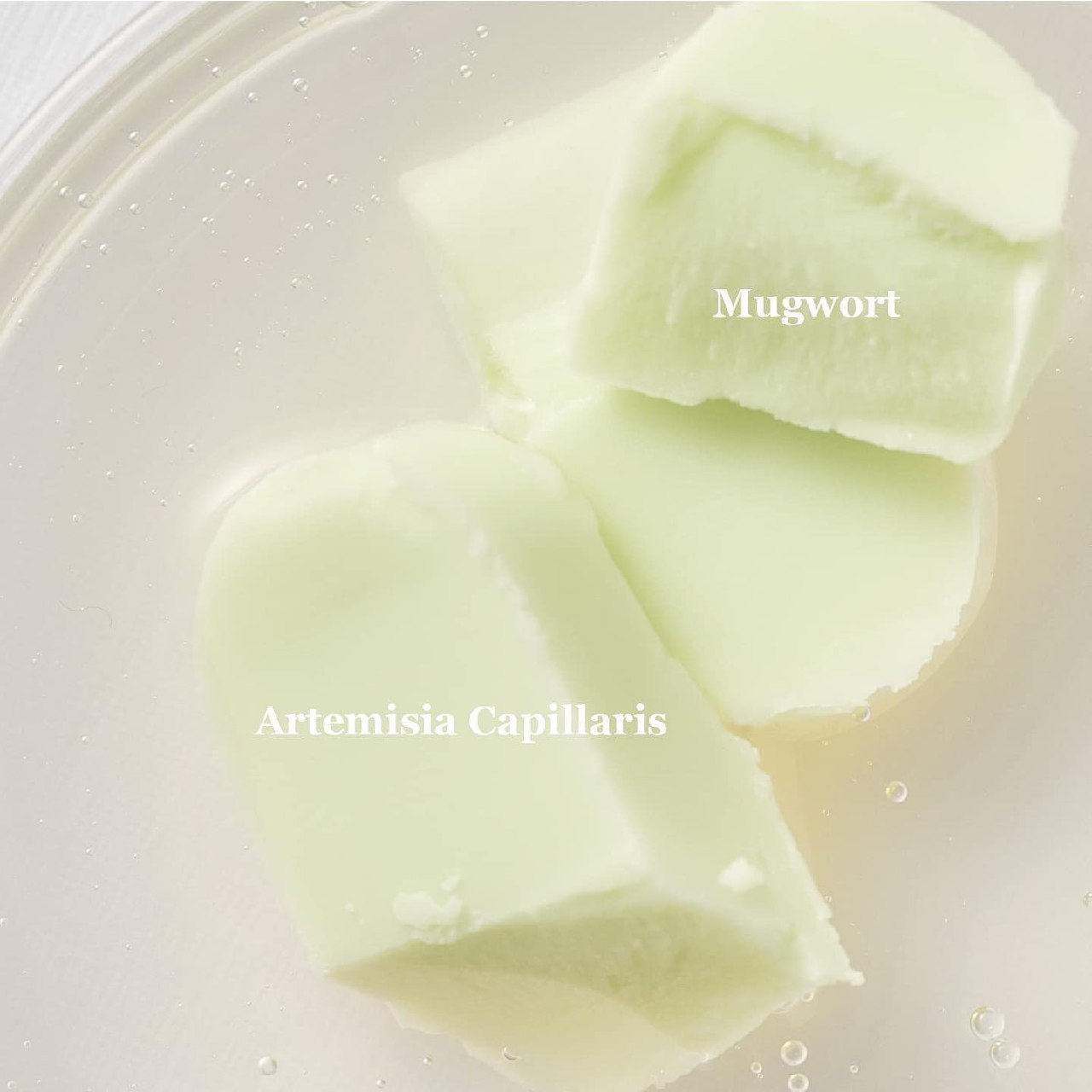 IMG_20230825_213348_721